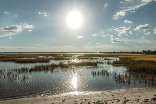 How to Capture Light Without Overexposure (A Coastal Photographer's Guide)