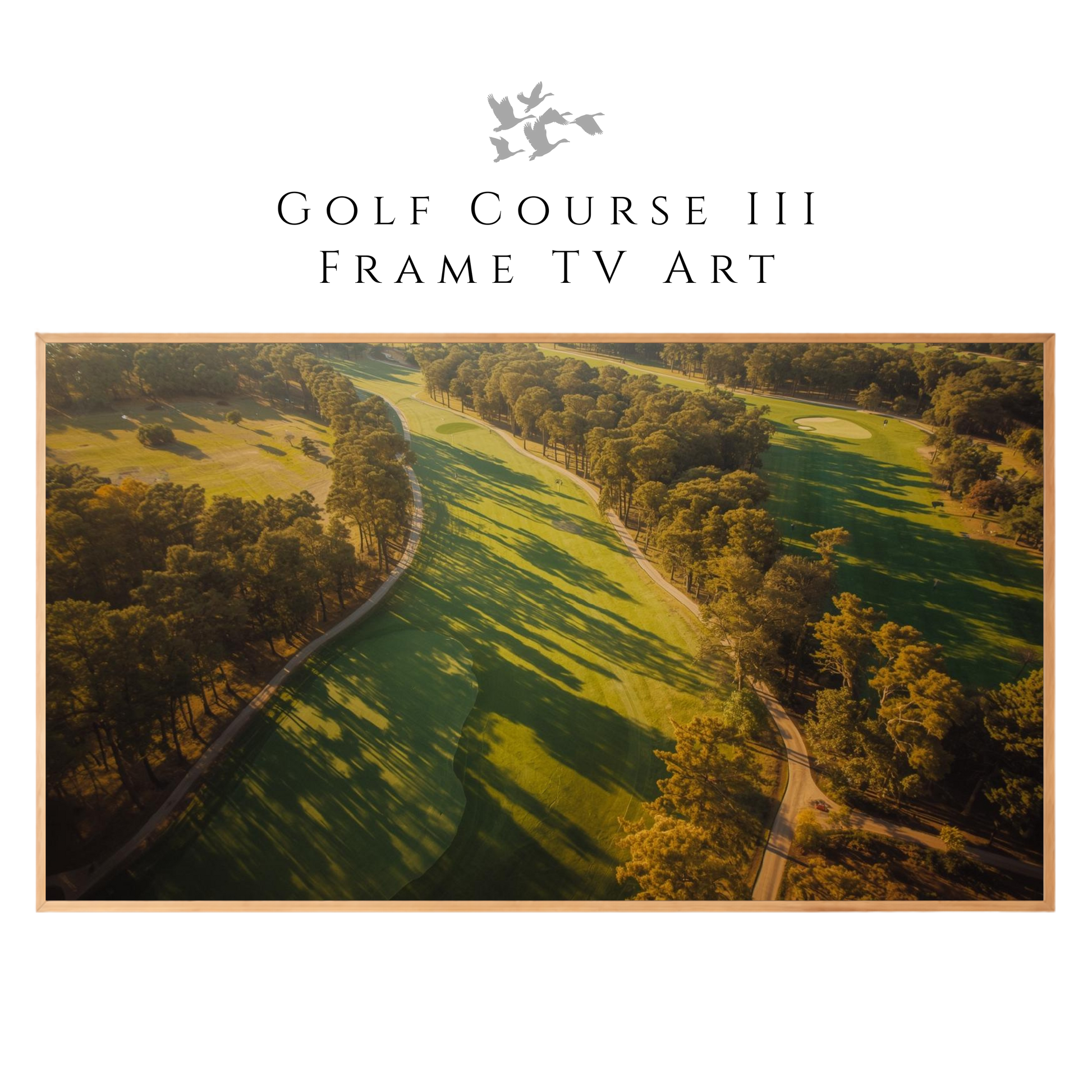 Golf Course III Frame TV Art