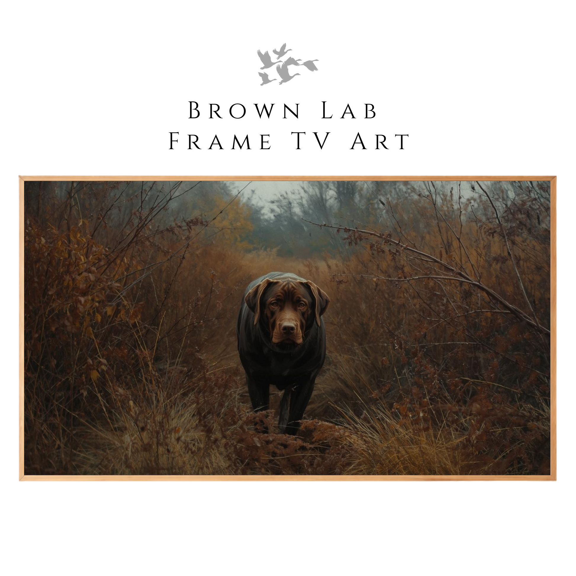 Brown Lab Frame TV Art